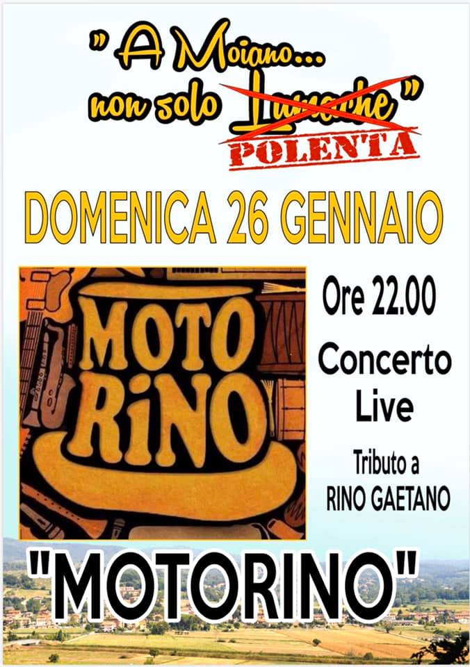 motorino2601